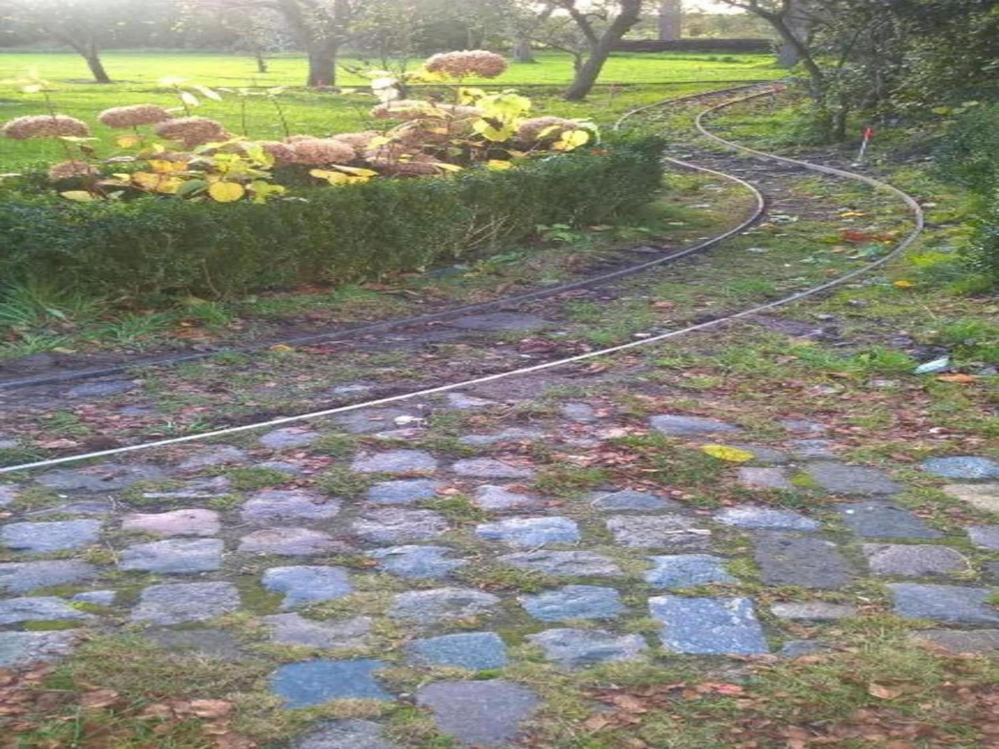 הוילה Geesteren  Monumental Farm In The Ash Landscape מראה חיצוני תמונה